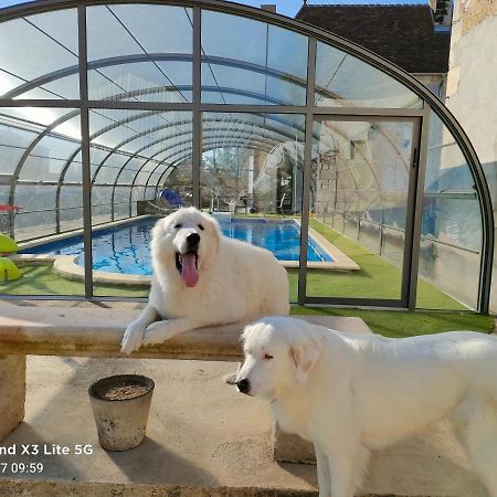 Mon Chateau En Berry Les Aix-d'Angillon Εξωτερικό φωτογραφία