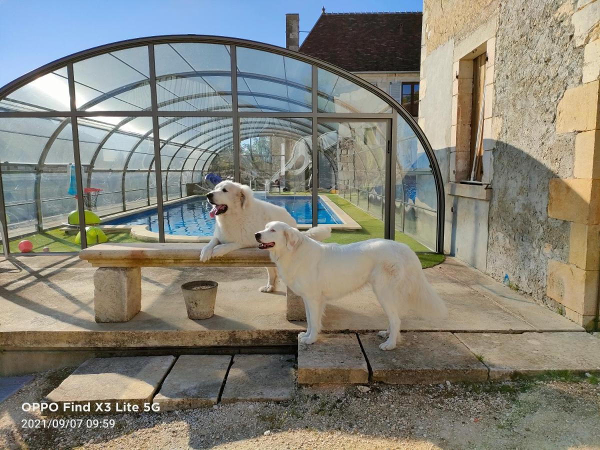 Mon Chateau En Berry Les Aix-d'Angillon Εξωτερικό φωτογραφία